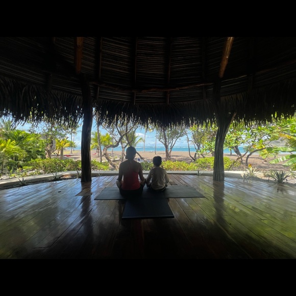 Meet your Posher, Ruby - Picture 1 of 1